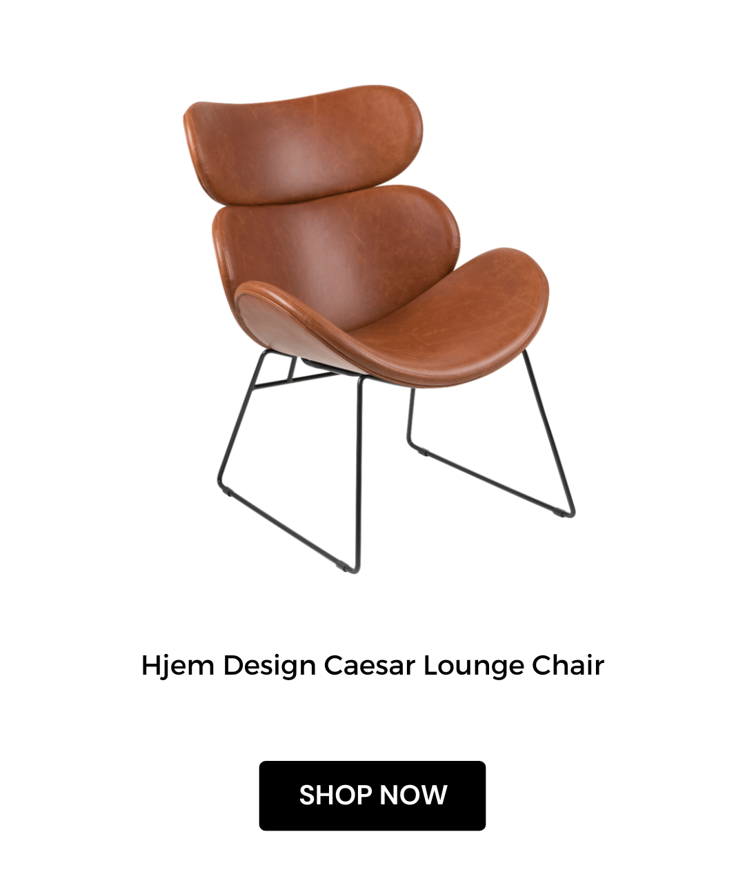 Hjem Design Caesar Lounge Chair